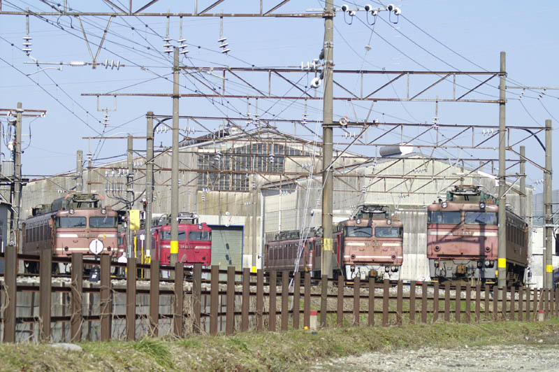 JR貨物 富山機関区 EF81 区名札 区名札差し - 鉄道